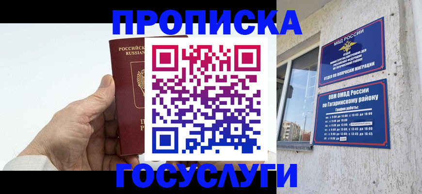 временная регистрация надежно в Елизово
